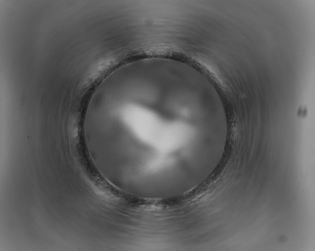 X0000091460687200708161523