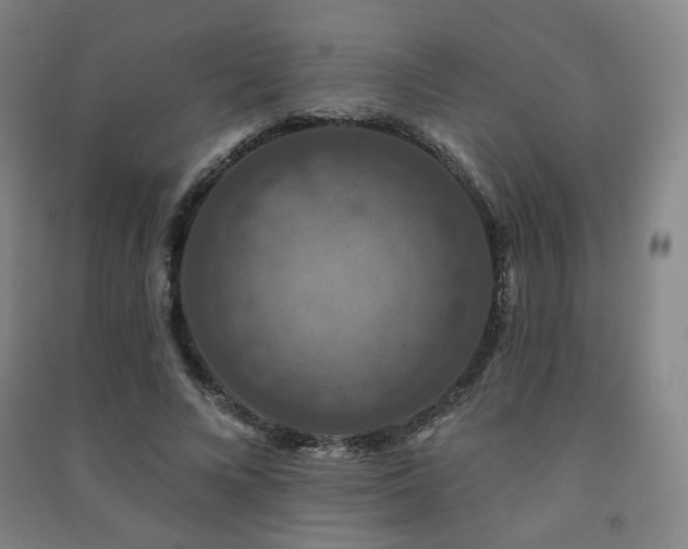 X0000091460688200708161523