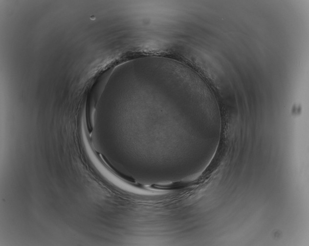 X0000091460689200708161523