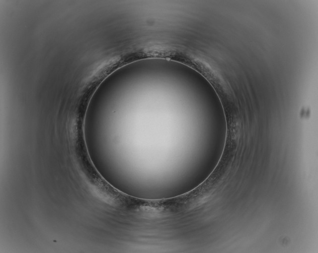 X0000091460690200708161523