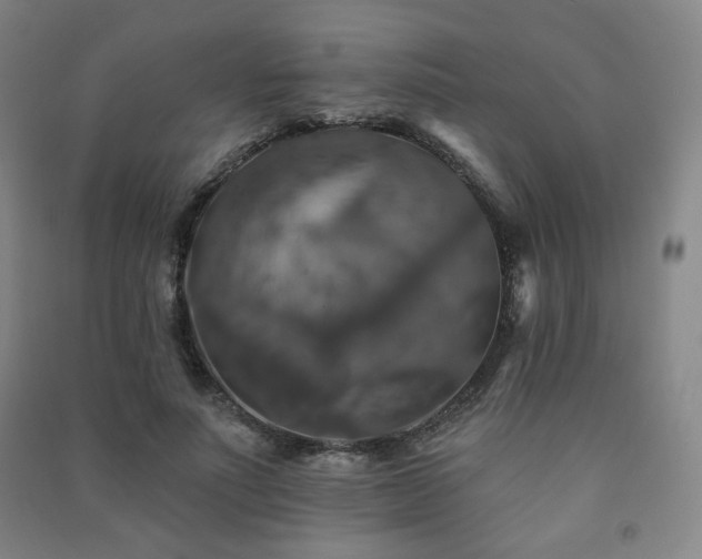 X0000091460691200708161523