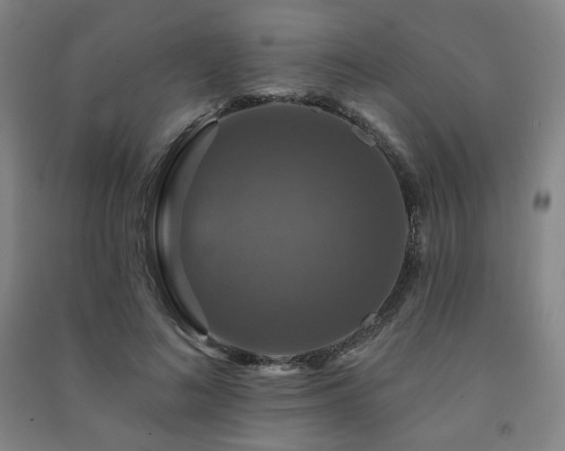 X0000091460692200708161523