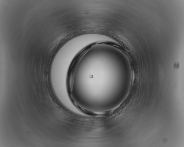 X0000091460693200708161523
