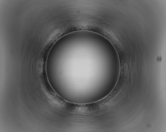 X0000091460694200708161523