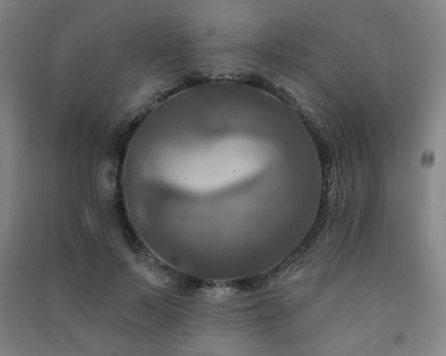X0000091460695200708161523