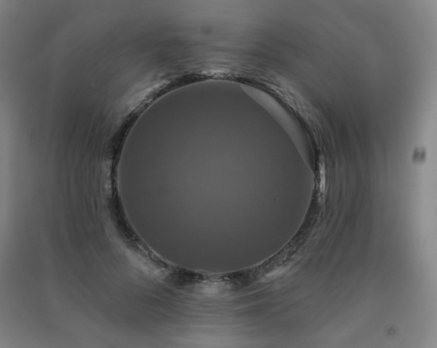 X0000091460696200708161523