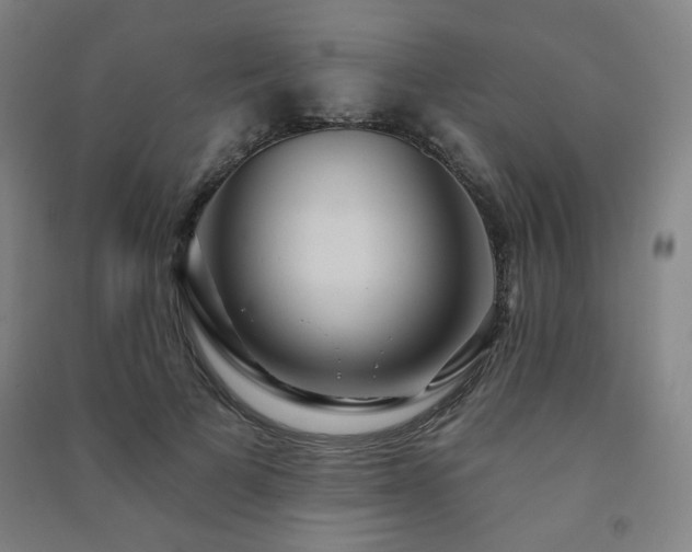 X0000091460697200708161523