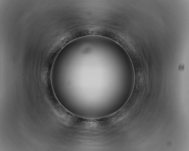 X0000091460698200708161523