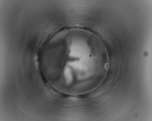 X0000091460699200708161523