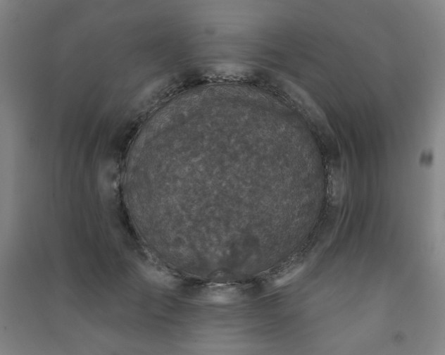 X0000091460701200708161522