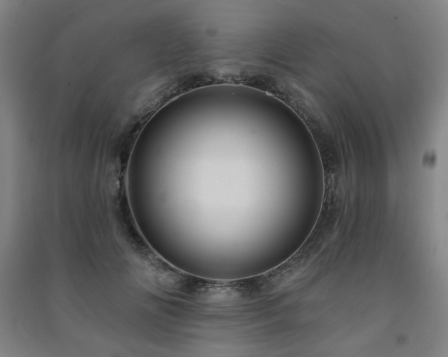 X0000091460702200708161522