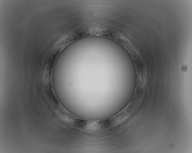 X0000091460705200708161522