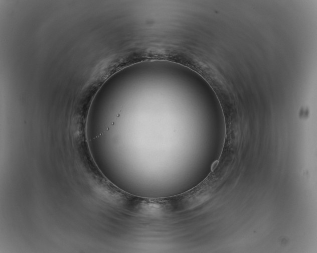 X0000091460706200708161522