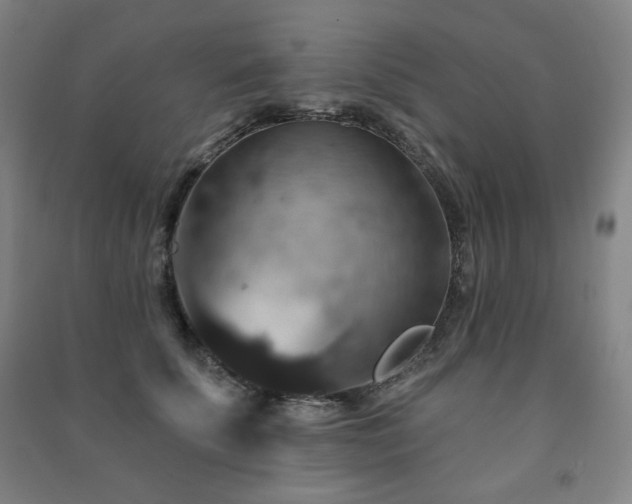 X0000091460707200708161522