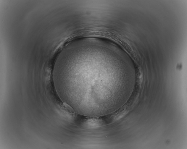 X0000091460708200708161522