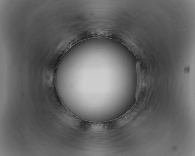 X0000091460709200708161522