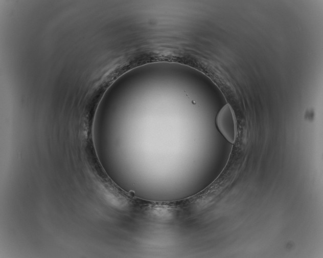 X0000091460710200708161522