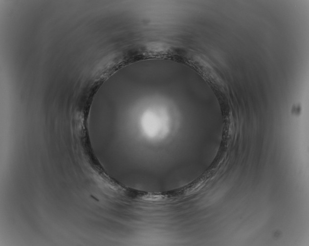 X0000091460711200708161522