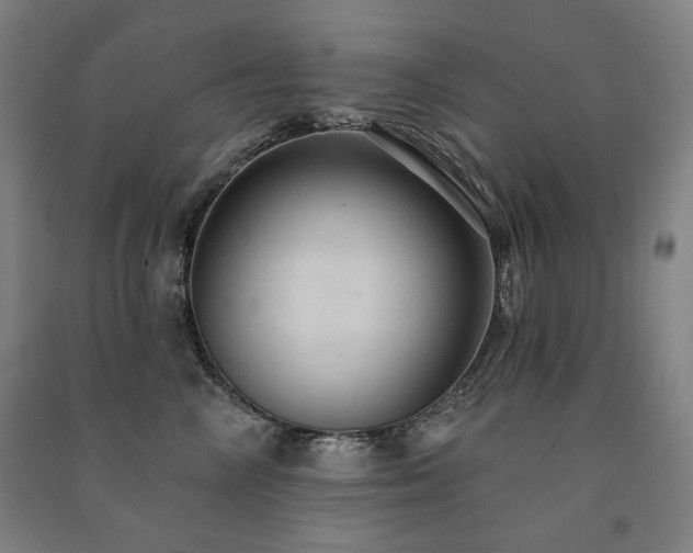 X0000091460714200708161522