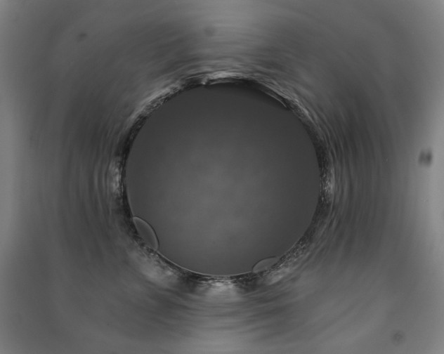 X0000091460715200708161522