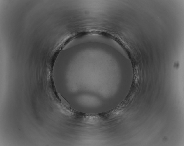 X0000091460716200708161522