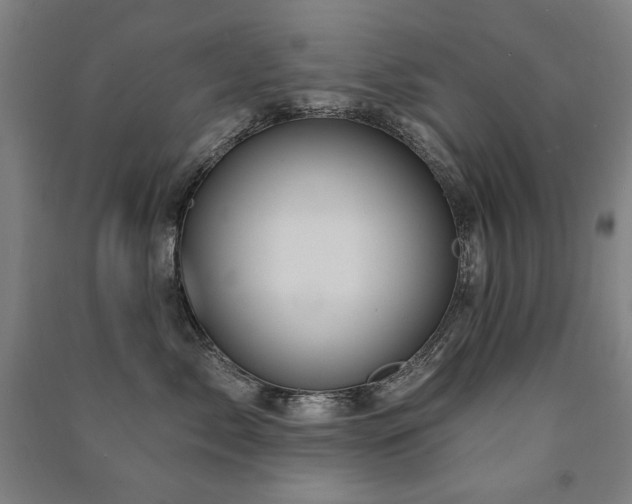 X0000091460717200708161522