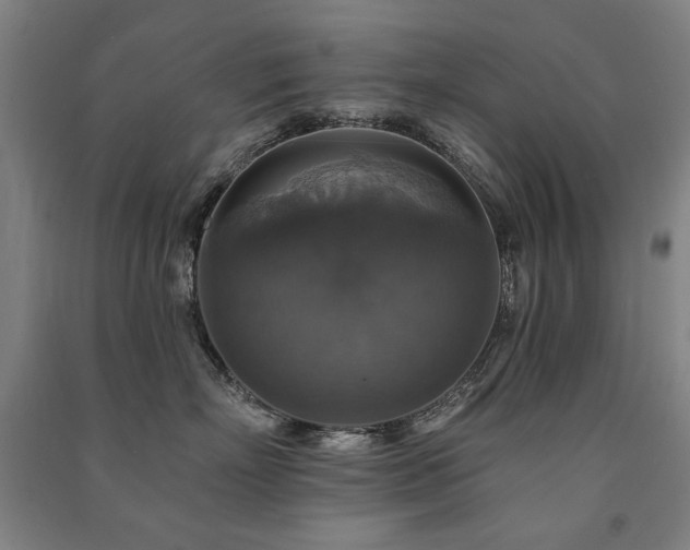 X0000091460718200708161522