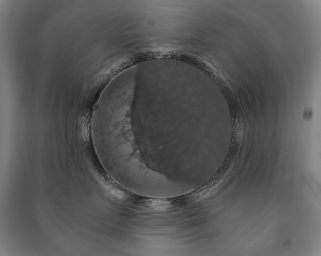 X0000091460719200708161522