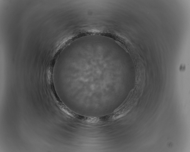 X0000091460720200708161522