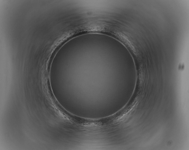 X0000091460721200708161522