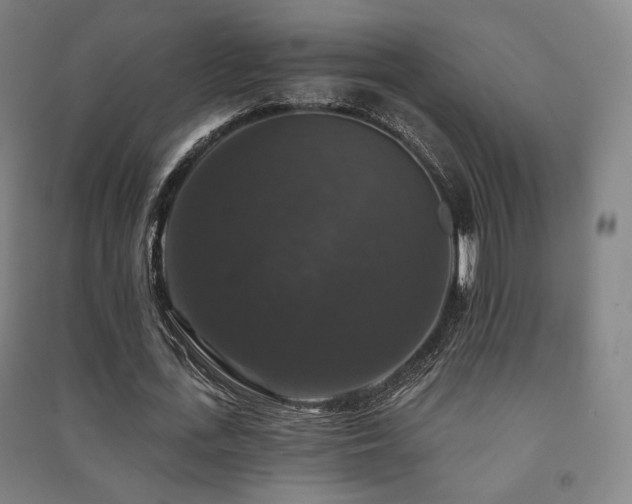 X0000091460723200708161522