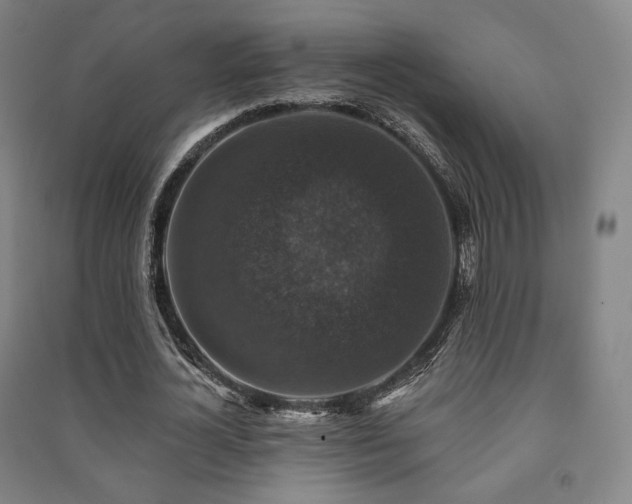 X0000091460724200708161522