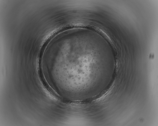 X0000091460725200708161522