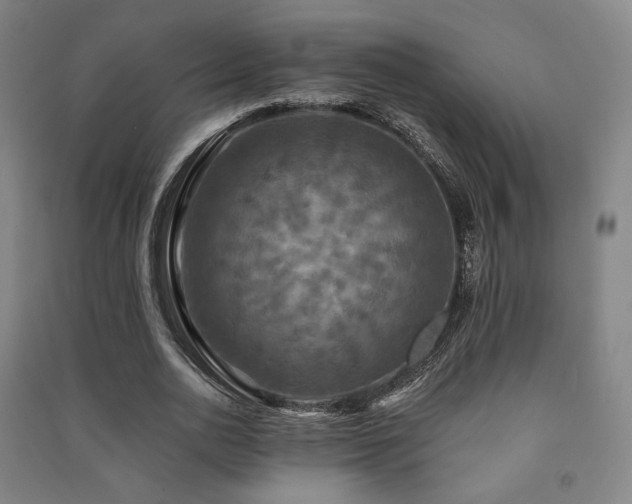 X0000091460726200708161522