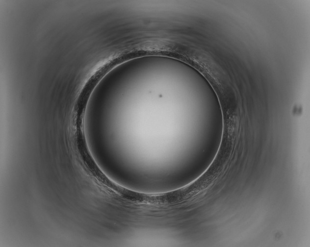 X0000091460727200708161522
