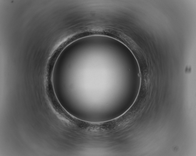 X0000091460728200708161522