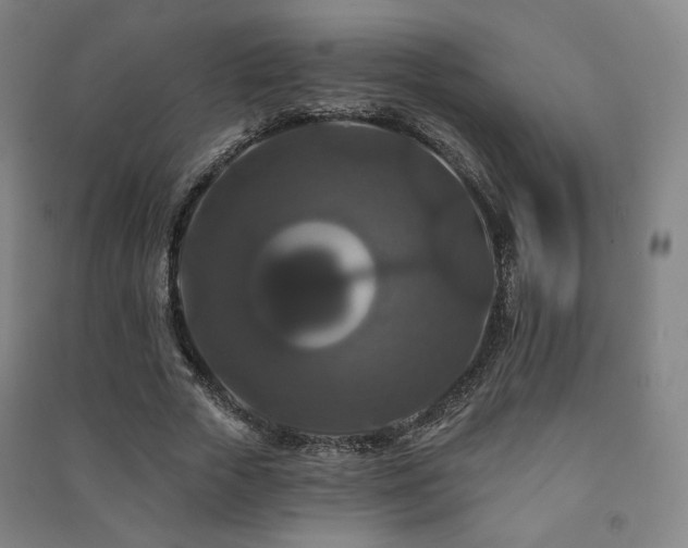 X0000091460729200708161522