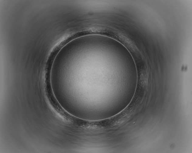X0000091460730200708161522