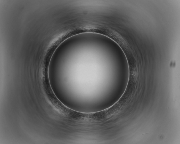 X0000091460732200708161522
