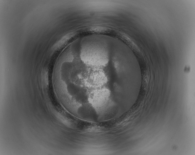 X0000091460734200708161522