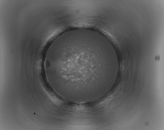 X0000091460735200708161522