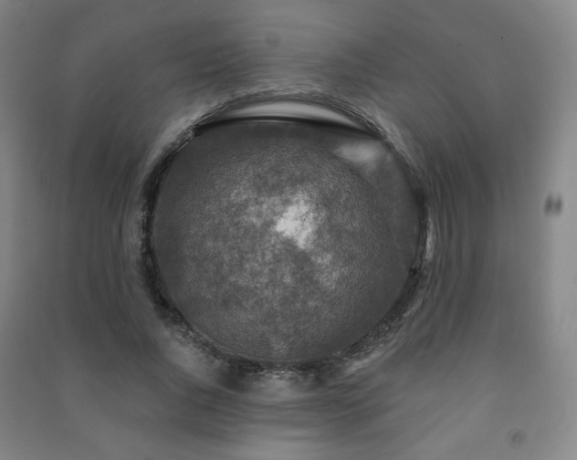 X0000091460736200708161522