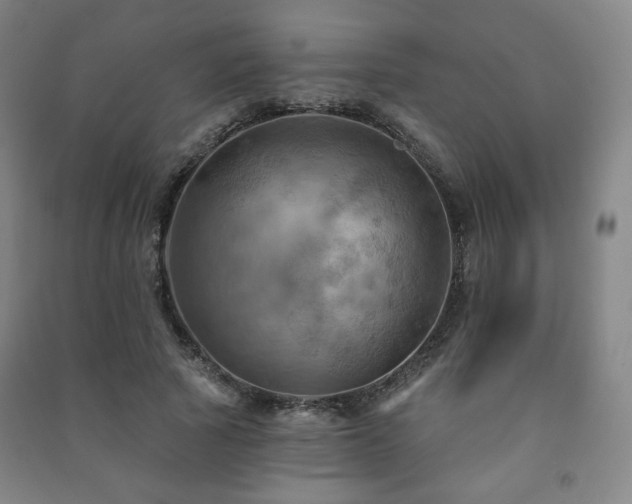 X0000091460737200708161522
