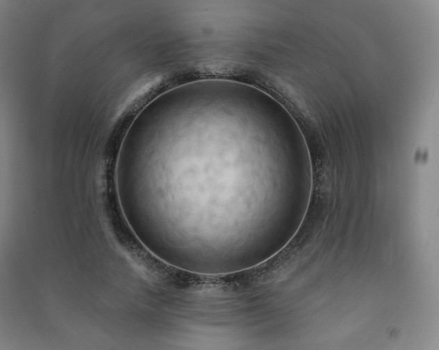 X0000091460738200708161522
