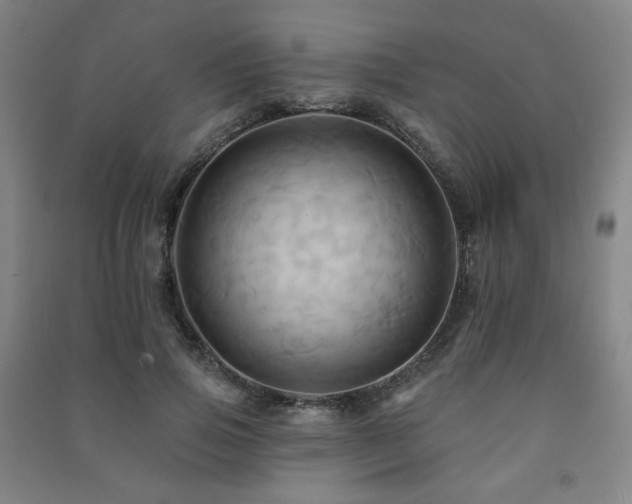 X0000091460741200708161522