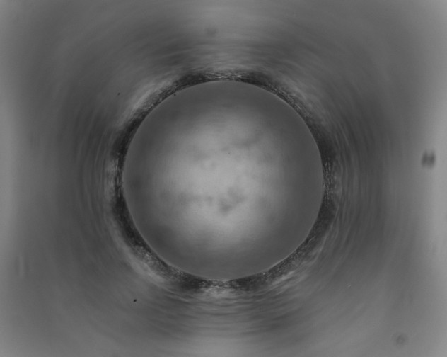 X0000091460742200708161522