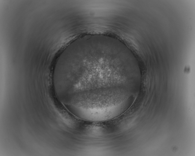 X0000091460743200708161522