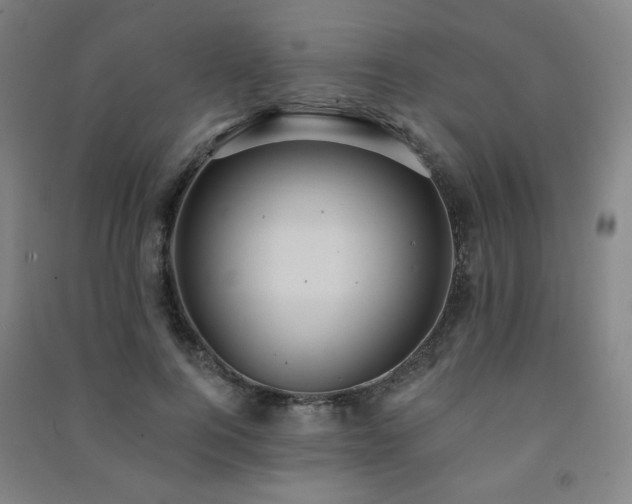 X0000091460744200708161522
