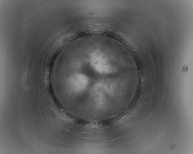X0000091460745200708161522