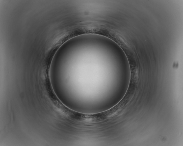 X0000091460746200708161522